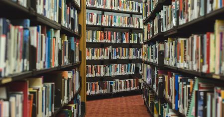 "Piją alkohol, rozbierają się do naga". Biblioteka musiała zatrudnić ochronę