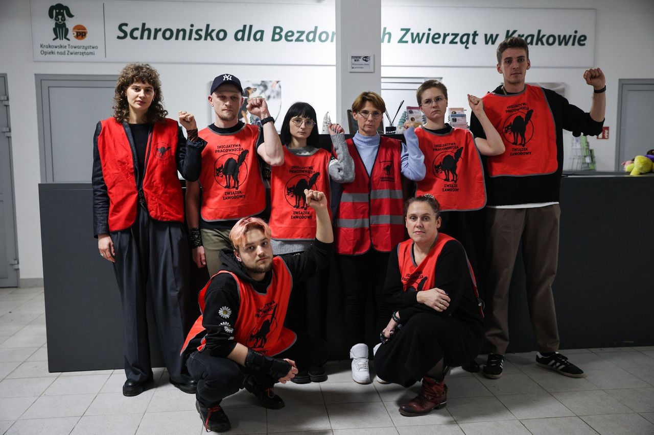 Kraków: Spór w schronisku. Ruszyły mediacje w sprawie płac i warunków