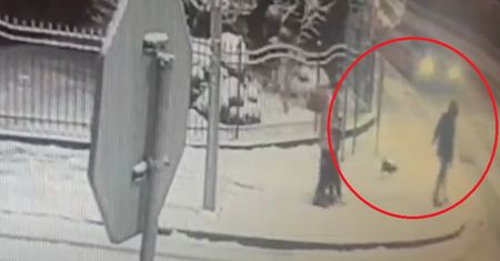 14-latka potrącona na przejściu dla pieszych. Policja opublikowała nagranie