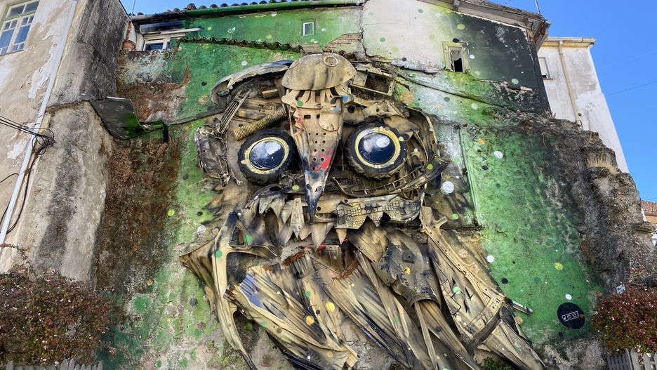 "Owl eyes" autorstwa Bordalo II