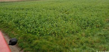 Droga do pól przez działkę sąsiada – kiedy można wymusić drogę konieczną?