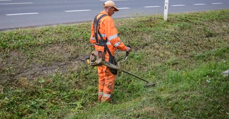 Koszenie trawy w lecie. Miasta decydują się na ograniczenia. "Regulują klimat miejski"