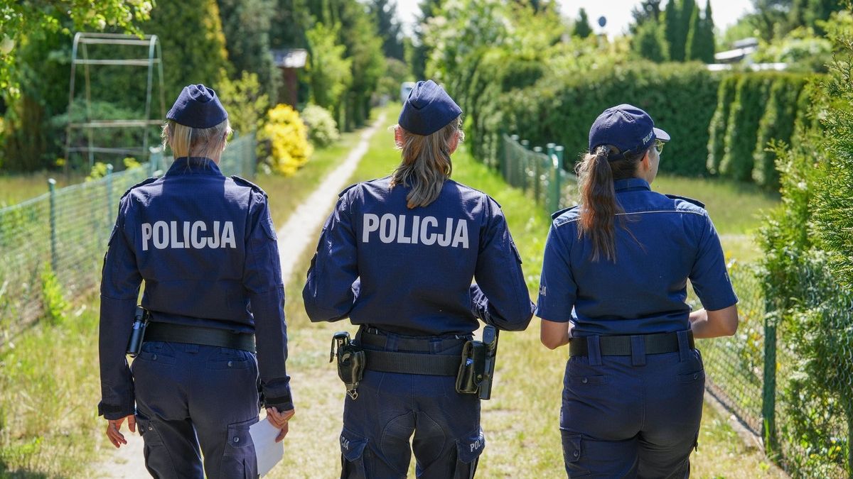 Patrole na działkach, działki, ogródki działkowe