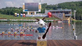 Od ratusza nad Maltę. Poznań pokazał oficjalną maskotkę mistrzostw świata