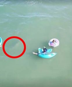 Spokojnie pływali w oceanie. Dron nagrał, co czaiło się koło nich