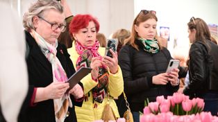 Warszawa: Powróciła wystawa tulipanów. Piękne wydarzenie w stolicy. Od tych kolorów można poczuć wiosnę