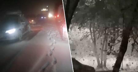 Gwałtowne opady śniegu w Rosji. "Dzieje się coś strasznego"