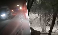 Gwałtowne opady śniegu w Rosji. "Dzieje się coś strasznego"