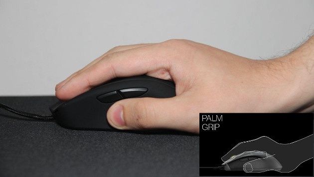 Mionix palm