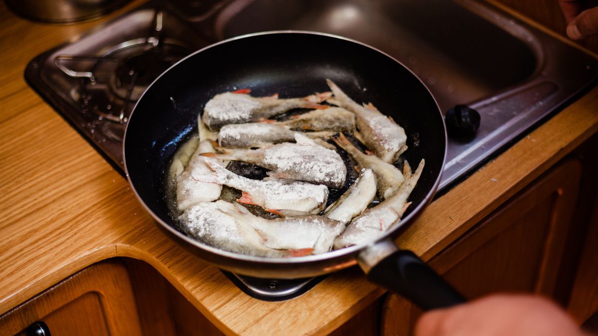 Sielawa występuje głownie w wodach górskich.