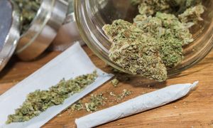 Jak marihuana wpływa na nastolatków? Alarmujące wnioski z dużego badania