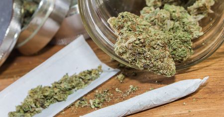 Jak marihuana wpływa na nastolatków? Alarmujące wnioski z dużego badania