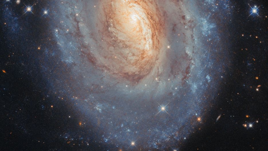 NGC 6000