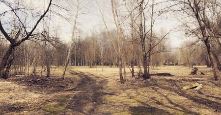 Wrocław. Było lotnisko i betoniarnia, będzie zieleń. Miasto zrewitalizuje ważny teren