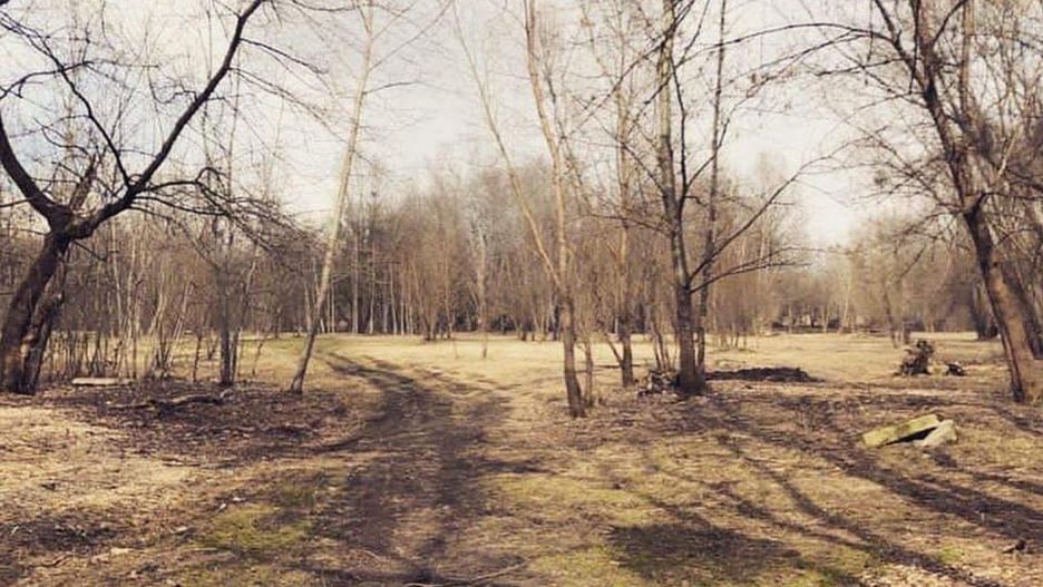 Wrocław. Było lotnisko i betoniarnia, będzie zieleń. Miasto zrewitalizuje ważny teren