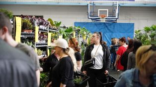 Kielce: Wraca Festiwal Roślin. Małe i duże okazy, kolekcjonerskie rarytasy oraz nowe gatunki w hali widowiskowo-sportowej