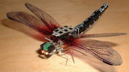 Elektroniczne insekty – w rzeźbie 1