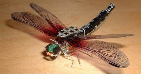 Elektroniczne insekty – w rzeźbie