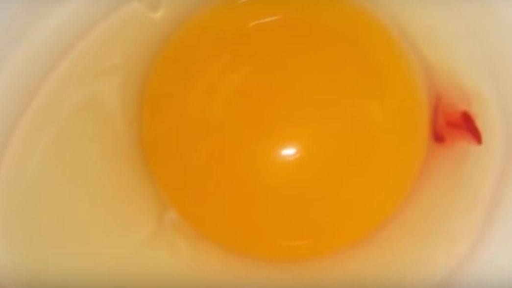 Czy obecność krwi w jajku może być niebezpieczna dla zdrowia?