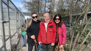 Radom: Niedziela w Schronisku dla Bezdomnych Zwierząt. Wszystkie psy wyszły na spacer. Zobacz zdjęcia