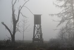 Polowanie dla cudzoziemców. Skończyło się tragedią