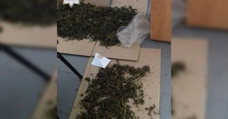 Ukrywał susz marihuany w zamrażarce. Policjanci zatrzymali 37-latka