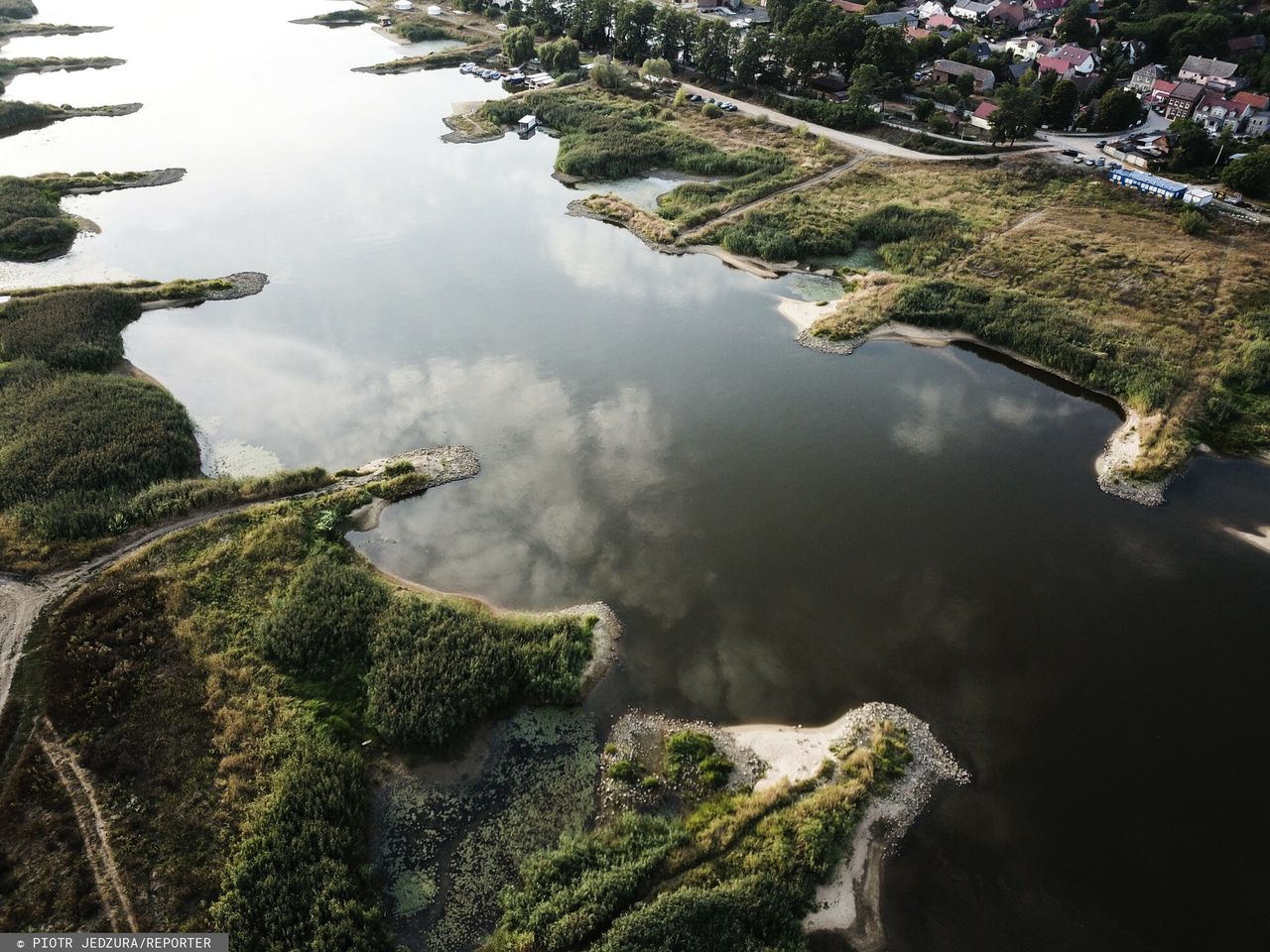 Oskarżają ich o zatrucie Odry. "Pragniemy zdementować kłamstwa"