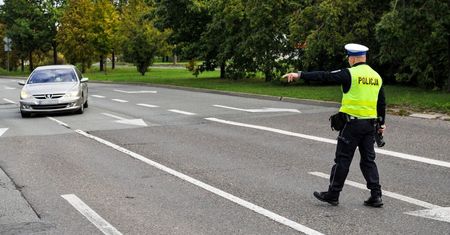 Za co naprawdę można dostać grzywnę do 30 tys. zł? Oto lista wykroczeń