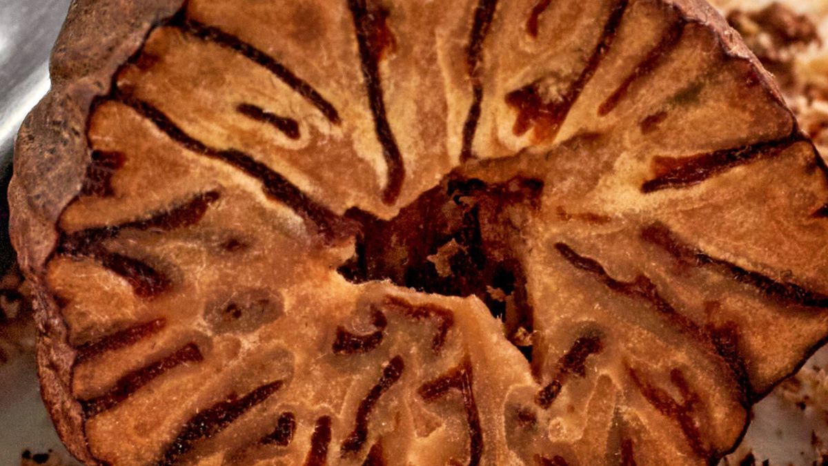 Gałka musztatołowa