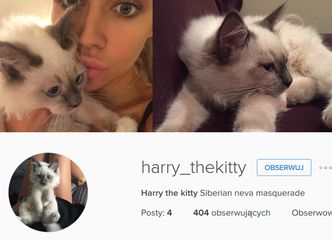 Siwiec założyła kotu... konto na Instagramie (ZDJĘCIA)