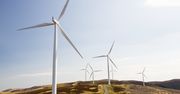 Czy energia wiatru jest ekologiczna?