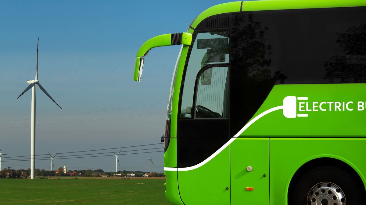 Fot. Evgeniy&Karina Gerasimovi /Getty Images 