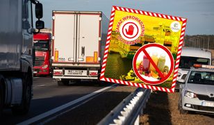 Soki z Afryki miały trafić do sprzedaży w Polsce. Niepokojące odkrycie