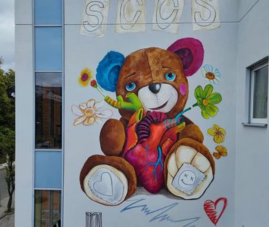 Zabrze. Miś ma zachęcać do przeszczepów