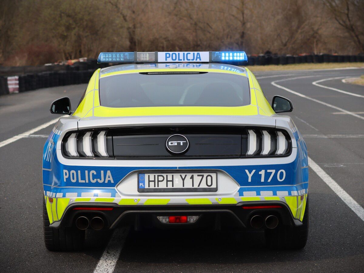 Mustang