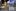 Google I/O 2020 bez transmisji online