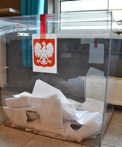 Wybory 2020. Obserwatorzy mogą przyjechać do Polski. "Mamy obowiązek ich wpuścić"