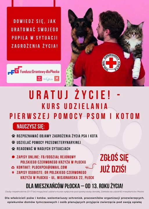 Kurs udzielania pierwszej pomocy psom i kotom 