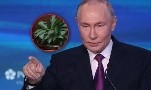 Wpadka Putina. Znów zdemaskowała go roślina