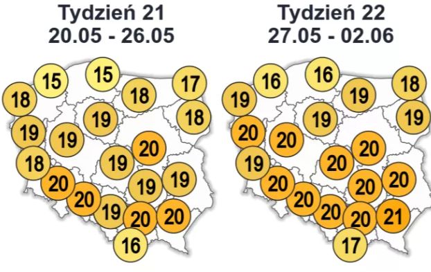 W drugiej połowie maja znów zrobi się cieplej. Chociaż na wybrzeżu będzie chłodniej, niż zwykle