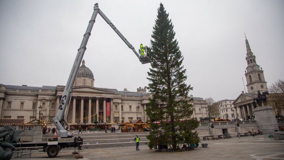 Choinka na Trafalgar Square