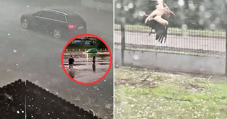 Potężne nawałnice na Śląsku. Żywioł niszczył wszystko po drodze