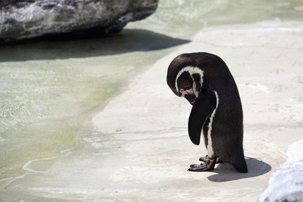 Linux 4.16 najszybszy, każdy kolejny obniża wydajność. Niestety, to dotyka większości