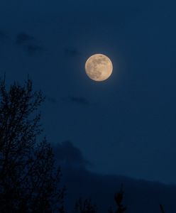 Pełnia styczeń 2024. Wilczy Księżyc pojawi się na niebie. Kiedy?