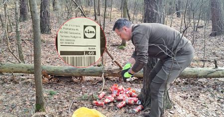 Leżały pod pniem. Zakasał rękawy i zebrał. Leśnicy: pieniądze w lesie