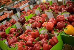 Wysłali paprykę do Polski, zarobili pół miliarda. Padł rekord