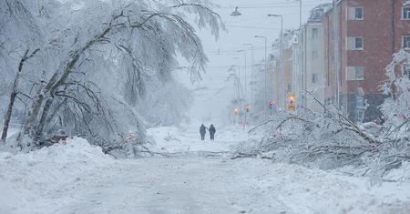 Śmiercionośny sztorm nad Skandynawią. Zginęły trzy osoby, dziesiątki tysięcy domów bez prądu