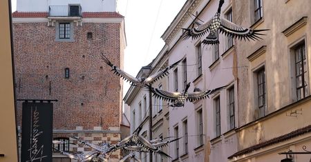 „Przelatujące Żurawie” wkrótce znikną ze Starego Miasta. Wiemy, ile kosztowały i co zastąpi je w czerwcu