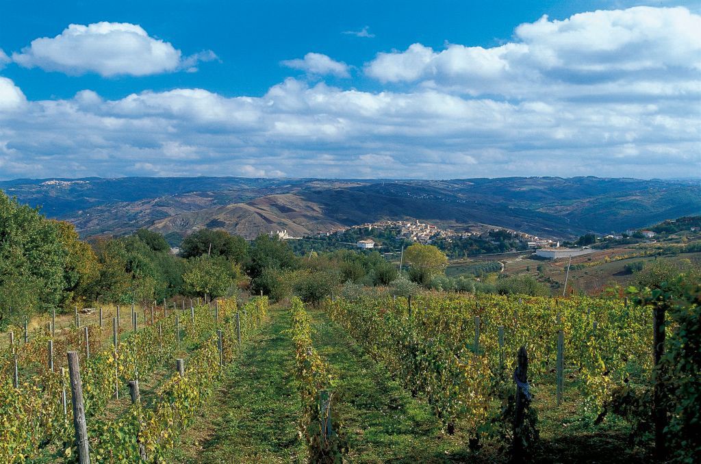Castropignano