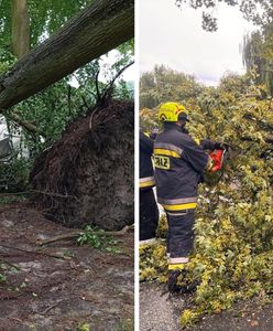 Ewakuacje, zaginieni i strażak rażony piorunem. Trudna sytuacja po burzach